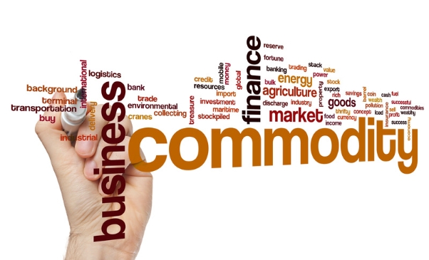 A Step-by-Step Guide to Starting Your Own Commodity Brokerage Firm